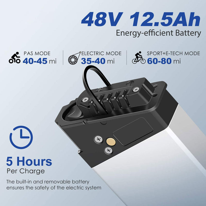 48V 12.5Ah Battery for Engwe Electric Bike